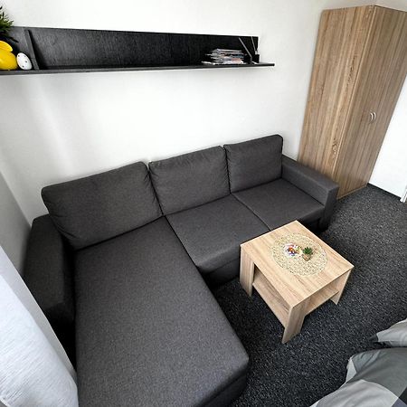 Apartmany Karlovy Vary Dış mekan fotoğraf