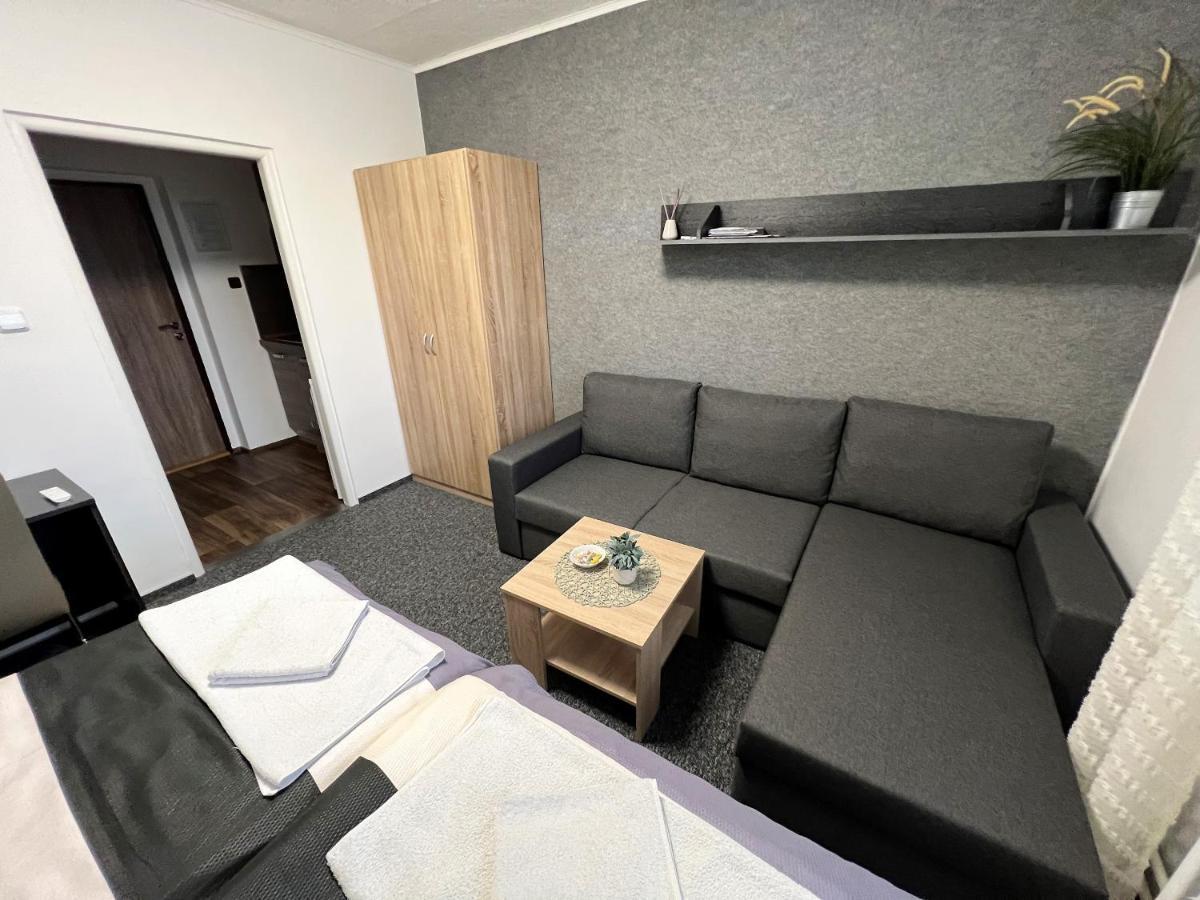 Apartmany Karlovy Vary Dış mekan fotoğraf