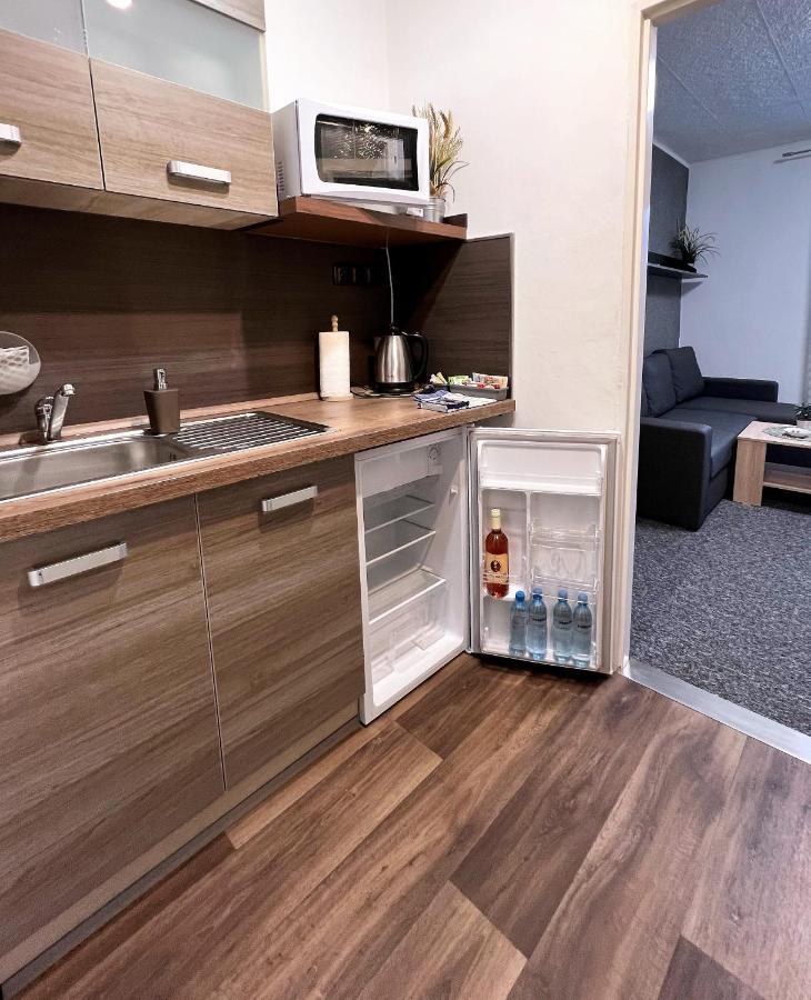 Apartmany Karlovy Vary Dış mekan fotoğraf