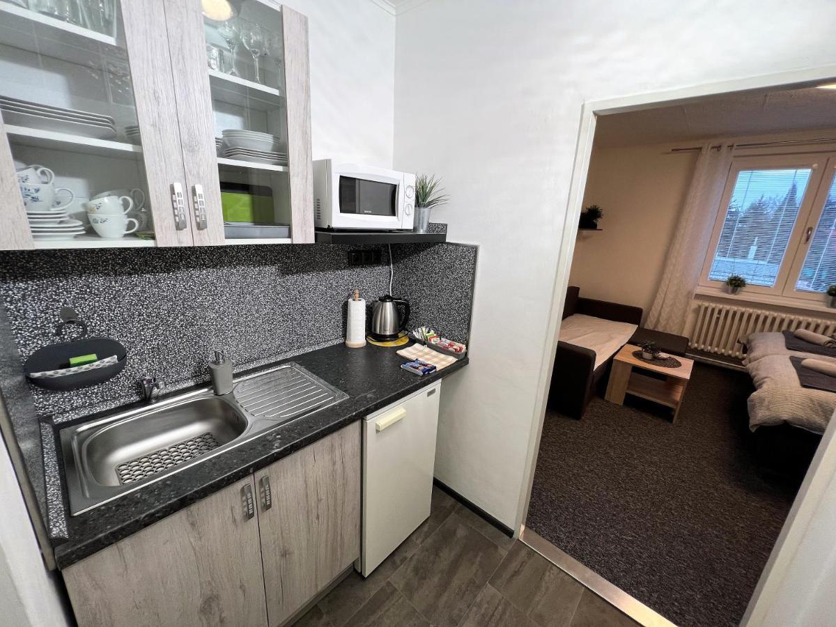 Apartmany Karlovy Vary Dış mekan fotoğraf