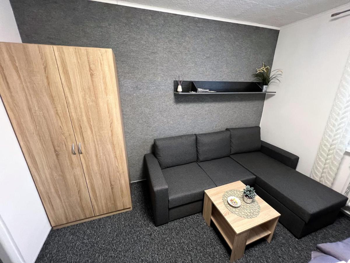 Apartmany Karlovy Vary Dış mekan fotoğraf