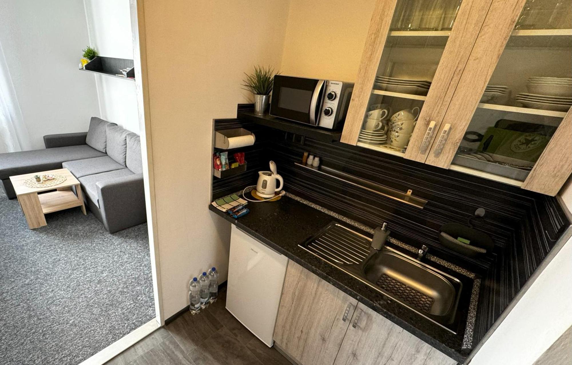 Apartmany Karlovy Vary Dış mekan fotoğraf